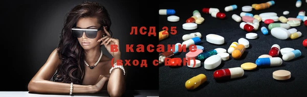 сатива Лабытнанги