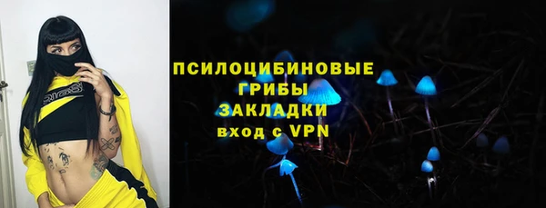 сатива Лабытнанги