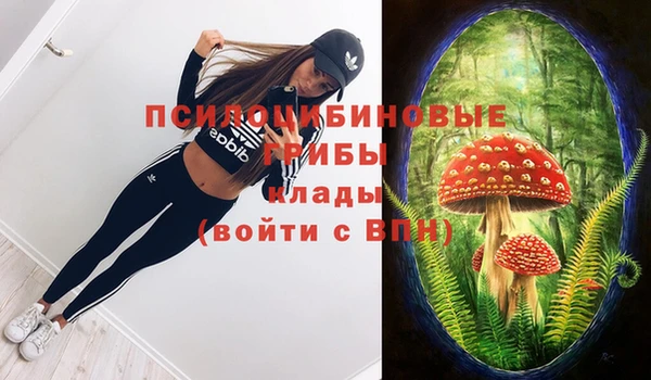 герыч Лагань