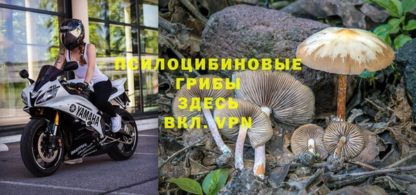 кокаин премиум Лиски