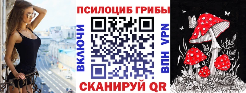 Купить где  Волоколамск  Псилоцибиновые грибы GOLDEN TEACHER 