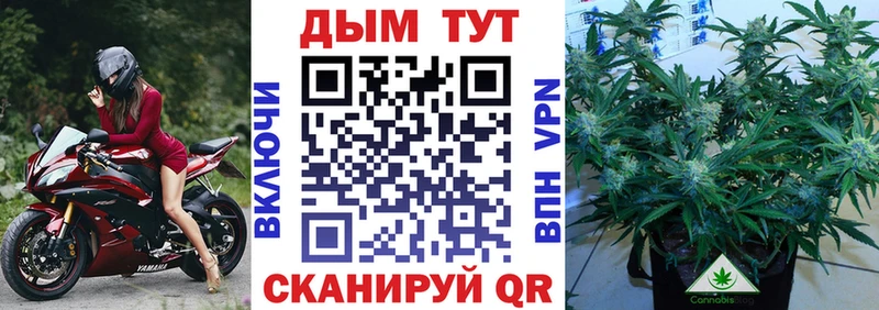 Каннабис ГИДРОПОН  Купить  Волоколамск 